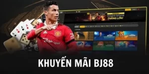 100-bao-hiem-voi-ket-qua-khong-nhu-mong-doi-thump_49_11zon