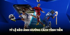 Tỷ lệ kèo cược ảnh hưởng cách tính tiền cược & tiên thắng