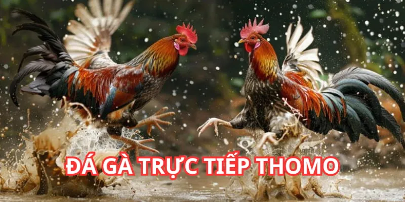 Nhiều ưu điểm vượt trội