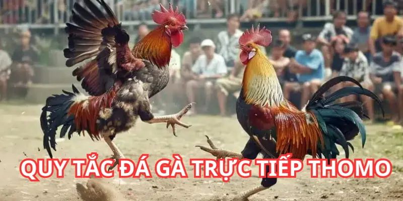 Quy định cần nắm