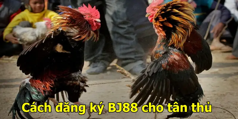 Cách đăng ký BJ88 cho tân thủ